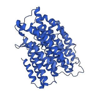 14132_7qsk_M_v1-1
Bovine complex I in lipid nanodisc, Active-Q10