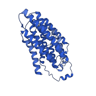 14132_7qsk_N_v1-1
Bovine complex I in lipid nanodisc, Active-Q10