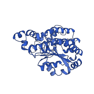 14132_7qsk_O_v1-1
Bovine complex I in lipid nanodisc, Active-Q10
