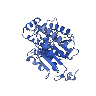 14132_7qsk_P_v1-1
Bovine complex I in lipid nanodisc, Active-Q10