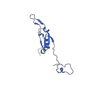 14132_7qsk_Q_v1-1
Bovine complex I in lipid nanodisc, Active-Q10