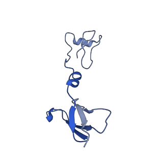 14132_7qsk_R_v1-1
Bovine complex I in lipid nanodisc, Active-Q10