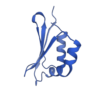 14132_7qsk_S_v1-1
Bovine complex I in lipid nanodisc, Active-Q10