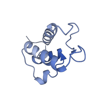14132_7qsk_T_v1-1
Bovine complex I in lipid nanodisc, Active-Q10