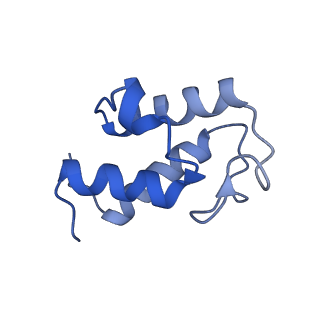 14132_7qsk_U_v1-1
Bovine complex I in lipid nanodisc, Active-Q10