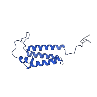 14132_7qsk_V_v1-1
Bovine complex I in lipid nanodisc, Active-Q10