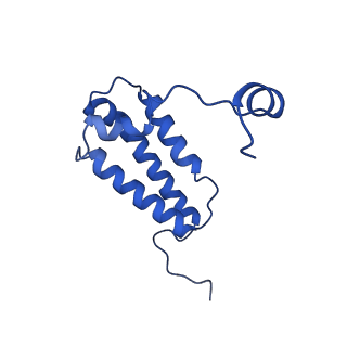 14132_7qsk_W_v1-1
Bovine complex I in lipid nanodisc, Active-Q10