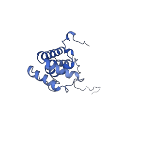 14132_7qsk_X_v1-1
Bovine complex I in lipid nanodisc, Active-Q10