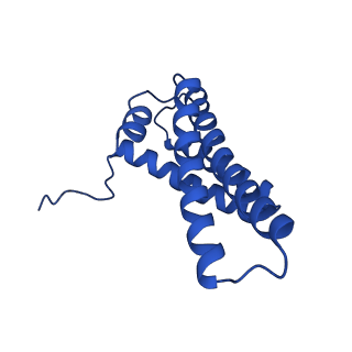 14132_7qsk_Y_v1-1
Bovine complex I in lipid nanodisc, Active-Q10