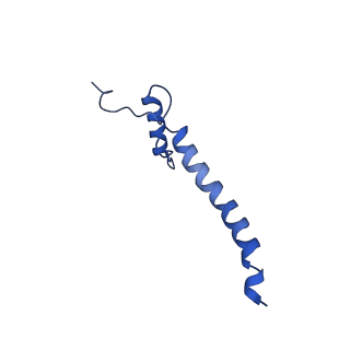 14132_7qsk_a_v1-1
Bovine complex I in lipid nanodisc, Active-Q10