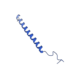 14132_7qsk_c_v1-1
Bovine complex I in lipid nanodisc, Active-Q10