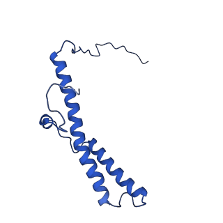 14132_7qsk_d_v1-1
Bovine complex I in lipid nanodisc, Active-Q10