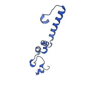 14132_7qsk_e_v1-1
Bovine complex I in lipid nanodisc, Active-Q10