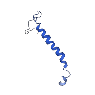 14132_7qsk_f_v1-1
Bovine complex I in lipid nanodisc, Active-Q10