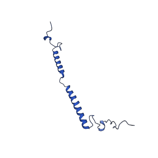 14132_7qsk_g_v1-1
Bovine complex I in lipid nanodisc, Active-Q10