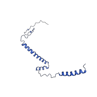14132_7qsk_i_v1-1
Bovine complex I in lipid nanodisc, Active-Q10