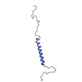 14132_7qsk_j_v1-1
Bovine complex I in lipid nanodisc, Active-Q10