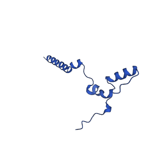 14132_7qsk_k_v1-1
Bovine complex I in lipid nanodisc, Active-Q10