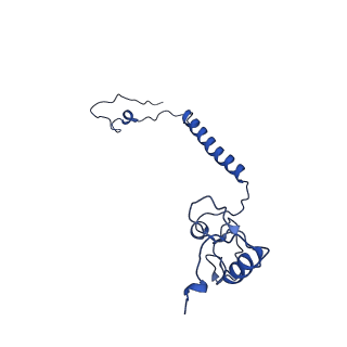 14132_7qsk_l_v1-1
Bovine complex I in lipid nanodisc, Active-Q10