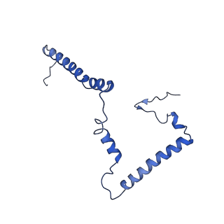 14132_7qsk_m_v1-1
Bovine complex I in lipid nanodisc, Active-Q10