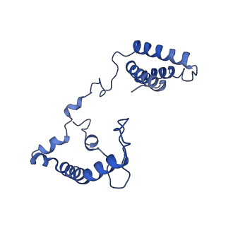 14132_7qsk_n_v1-1
Bovine complex I in lipid nanodisc, Active-Q10
