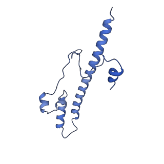 14132_7qsk_o_v1-1
Bovine complex I in lipid nanodisc, Active-Q10