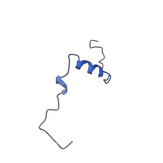 14132_7qsk_s_v1-1
Bovine complex I in lipid nanodisc, Active-Q10