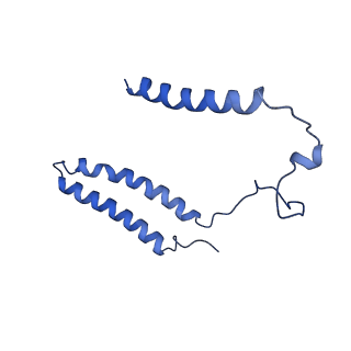 14133_7qsl_A_v1-1
Bovine complex I in lipid nanodisc, Active-apo