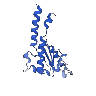 14133_7qsl_B_v1-1
Bovine complex I in lipid nanodisc, Active-apo