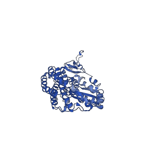 14133_7qsl_D_v1-1
Bovine complex I in lipid nanodisc, Active-apo