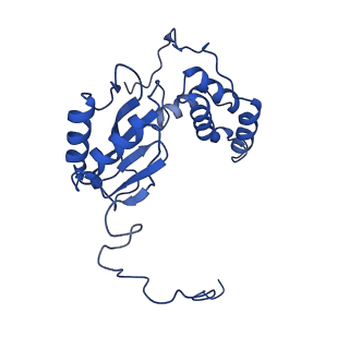 14133_7qsl_E_v1-1
Bovine complex I in lipid nanodisc, Active-apo