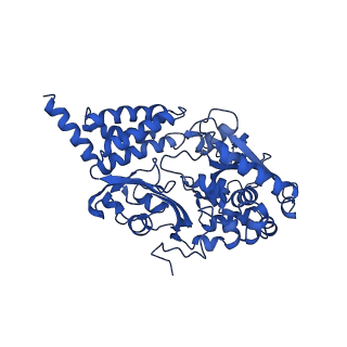 14133_7qsl_F_v1-1
Bovine complex I in lipid nanodisc, Active-apo