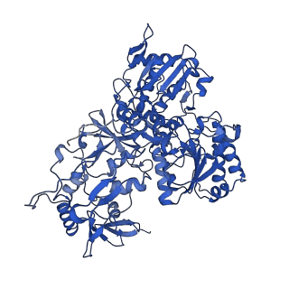 14133_7qsl_G_v1-1
Bovine complex I in lipid nanodisc, Active-apo