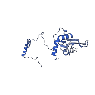 14133_7qsl_I_v1-1
Bovine complex I in lipid nanodisc, Active-apo