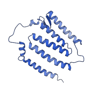 14133_7qsl_J_v1-1
Bovine complex I in lipid nanodisc, Active-apo