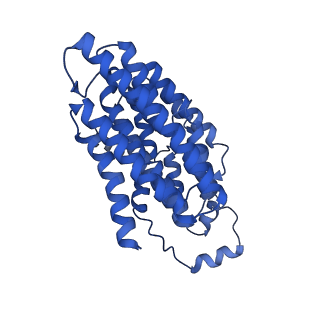 14133_7qsl_N_v1-1
Bovine complex I in lipid nanodisc, Active-apo