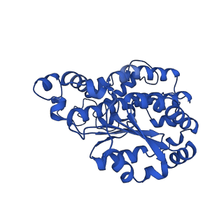 14133_7qsl_O_v1-1
Bovine complex I in lipid nanodisc, Active-apo