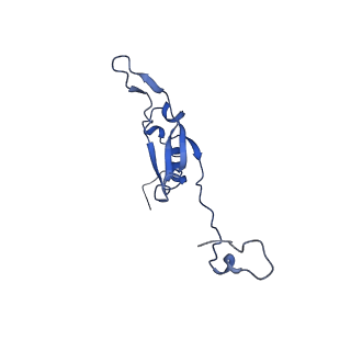 14133_7qsl_Q_v1-1
Bovine complex I in lipid nanodisc, Active-apo
