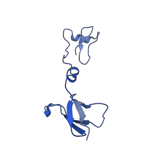 14133_7qsl_R_v1-1
Bovine complex I in lipid nanodisc, Active-apo