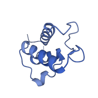 14133_7qsl_T_v1-1
Bovine complex I in lipid nanodisc, Active-apo