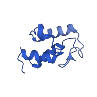 14133_7qsl_U_v1-1
Bovine complex I in lipid nanodisc, Active-apo