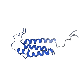 14133_7qsl_V_v1-1
Bovine complex I in lipid nanodisc, Active-apo