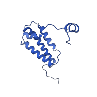 14133_7qsl_W_v1-1
Bovine complex I in lipid nanodisc, Active-apo