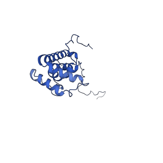 14133_7qsl_X_v1-1
Bovine complex I in lipid nanodisc, Active-apo