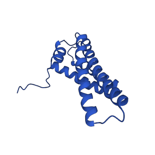 14133_7qsl_Y_v1-1
Bovine complex I in lipid nanodisc, Active-apo