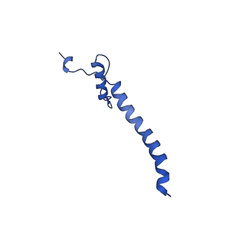 14133_7qsl_a_v1-1
Bovine complex I in lipid nanodisc, Active-apo