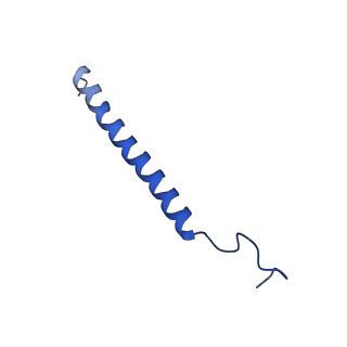 14133_7qsl_c_v1-1
Bovine complex I in lipid nanodisc, Active-apo