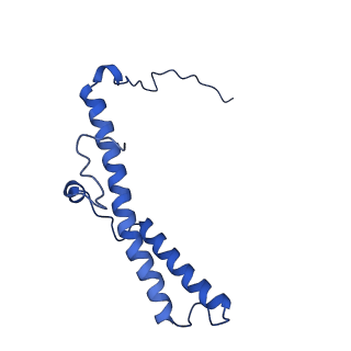 14133_7qsl_d_v1-1
Bovine complex I in lipid nanodisc, Active-apo