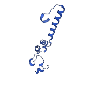14133_7qsl_e_v1-1
Bovine complex I in lipid nanodisc, Active-apo