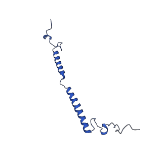 14133_7qsl_g_v1-1
Bovine complex I in lipid nanodisc, Active-apo